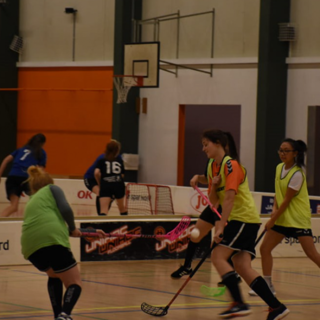 1. division damer tryout image