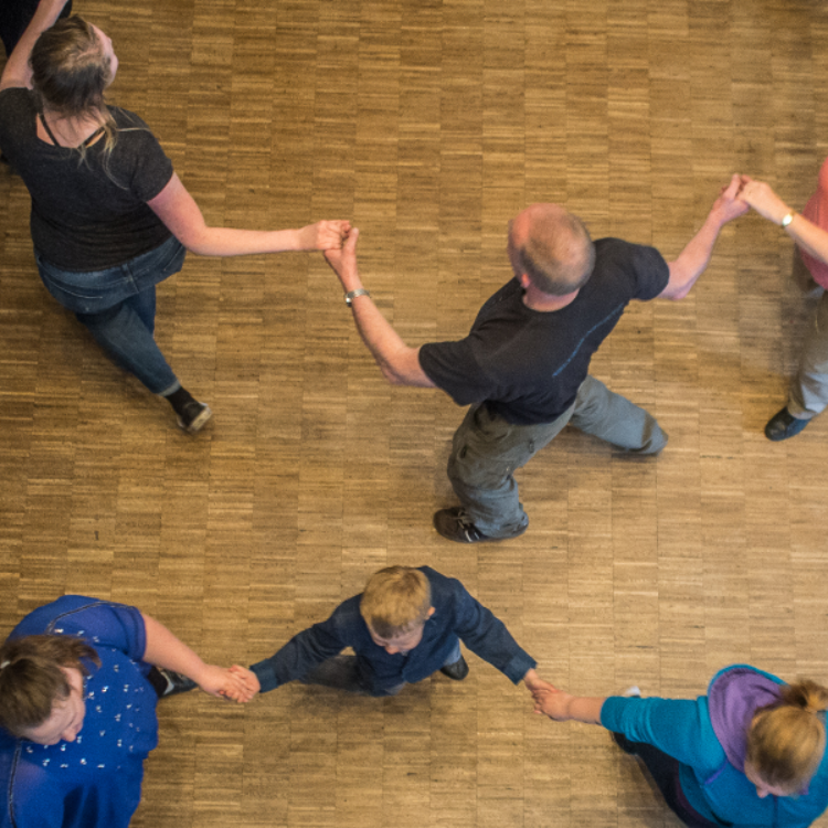 Dansk folkedans for unge og voksne tryout image