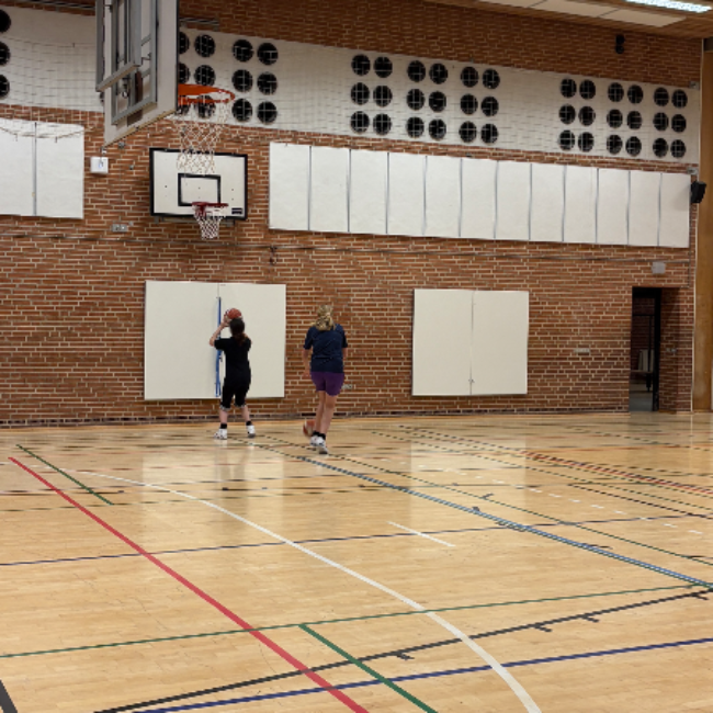 U13/U15 - Girls (11-14 år) tryout image