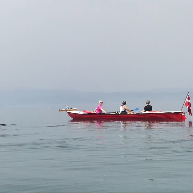 Seniorer 65+ på Limfjorden prøveforløb tryout image