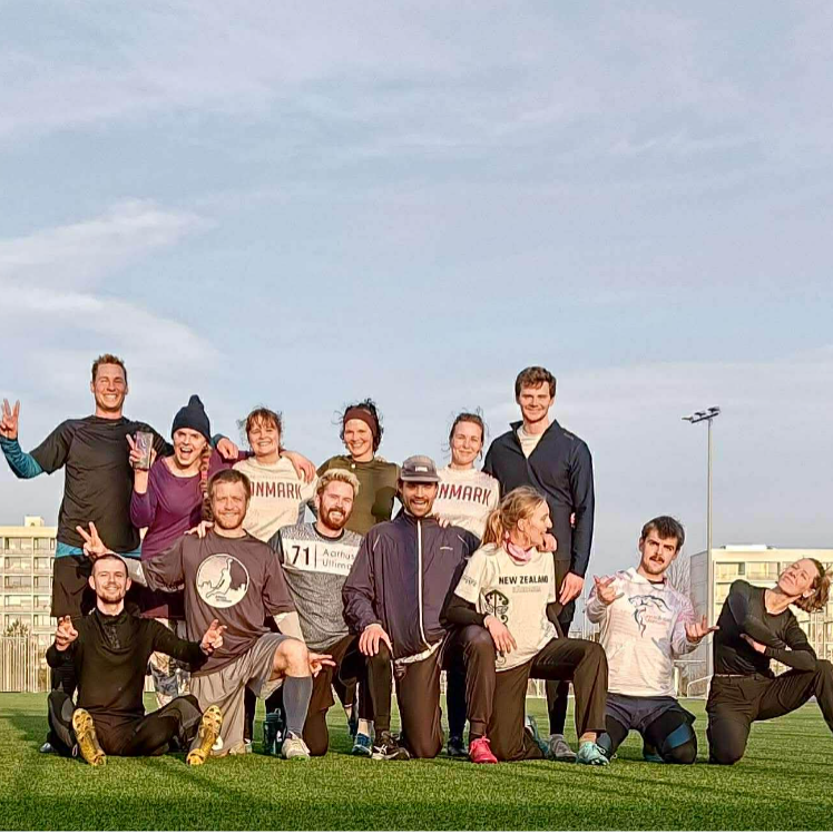 UngSpiller8000 - Introholdet, ultimate frisbee tryout image
