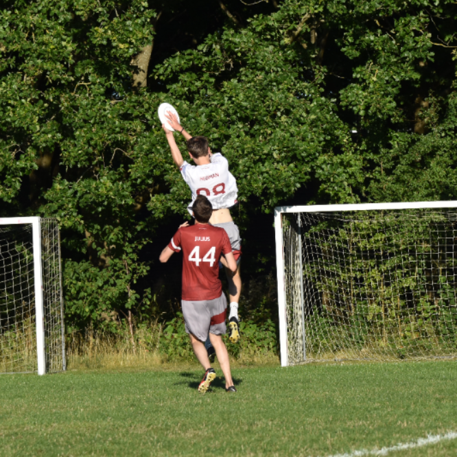 Ultimate Frisbee - Alle Niveauer tryout image
