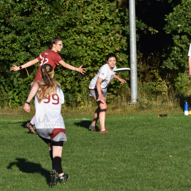 Ultimate Frisbee - Alle Niveauer tryout image
