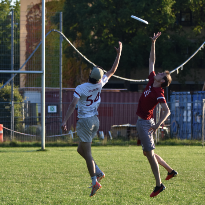 Ultimate Frisbee - Alle Niveauer tryout image