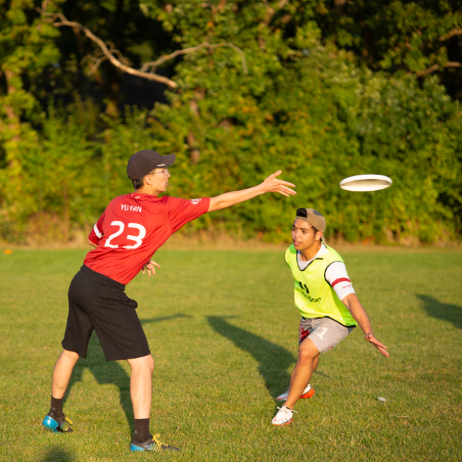 Ultimate Frisbee - Alle Niveauer tryout image