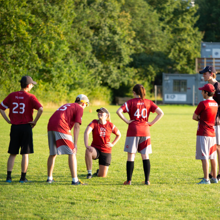 Ultimate Frisbee - Alle Niveauer tryout image