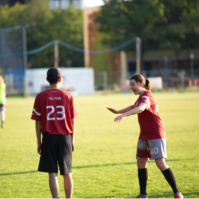 Ultimate Frisbee - Alle Niveauer tryout image