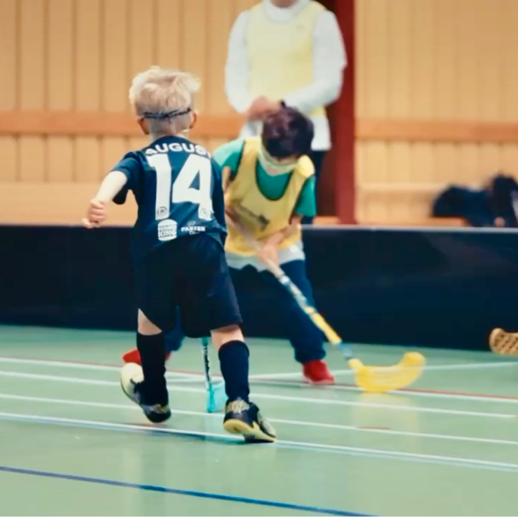 Familiefloorball for 3-6-årige (Frederiksberg) tryout image
