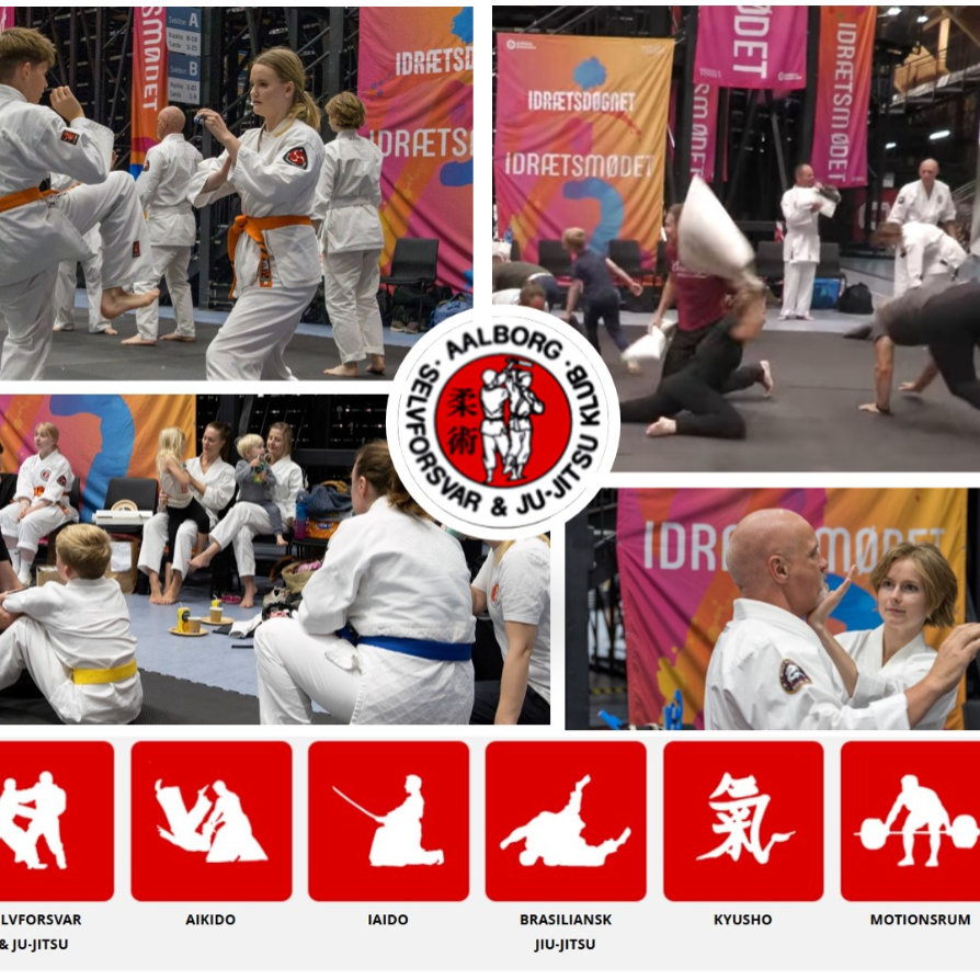 Try-Out Ju Jitsu - begynder
