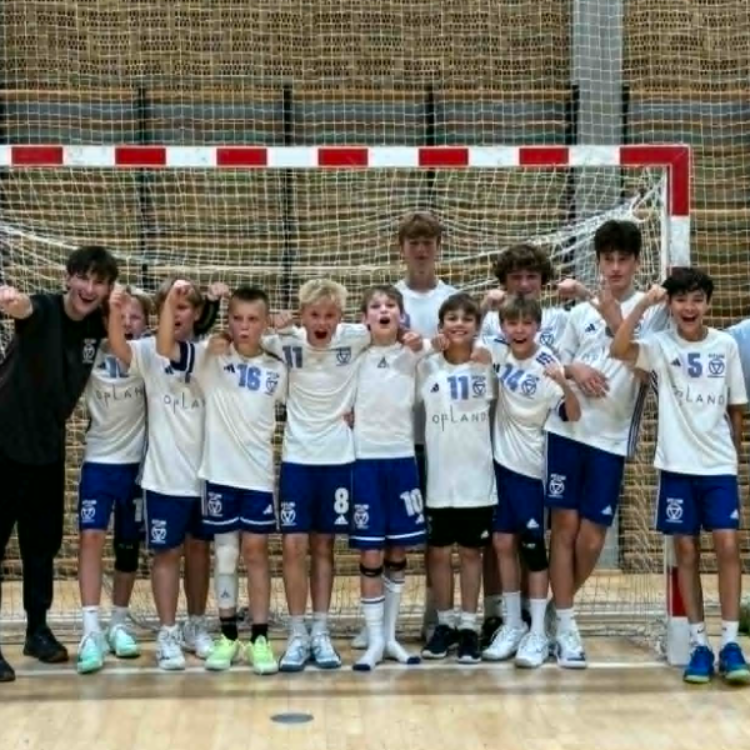 U13 drenge (Årgang 2013/2014)