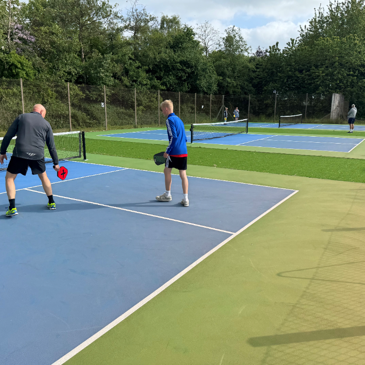 Pickleball tryout image