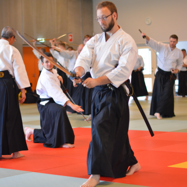 Iaido / Aiki toho - japansk sværdtræning tryout image