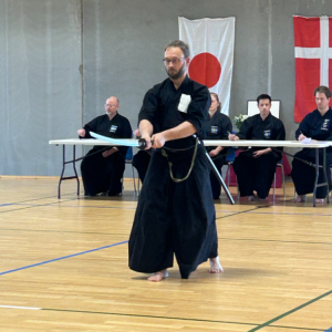 Iaido / Aiki toho - japansk sværdtræning