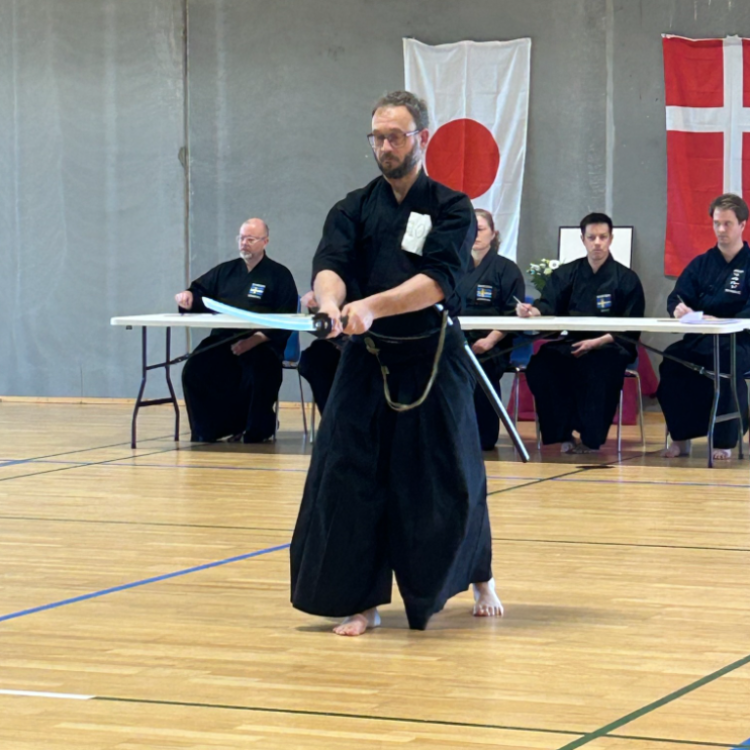 Iaido / Aiki toho - japansk sværdtræning tryout image