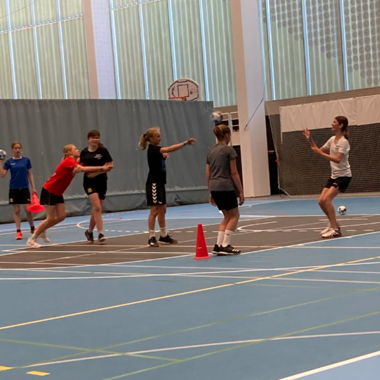 Sjov pigehåndbold (10-12 år)  (årgang 2015+2016) tryout image