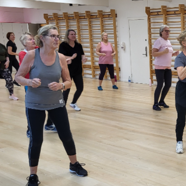 Zumba Fitness tryout image