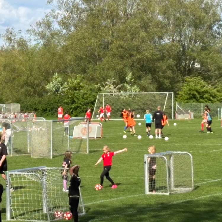 Fodbold årgang 2022 Piger tryout image
