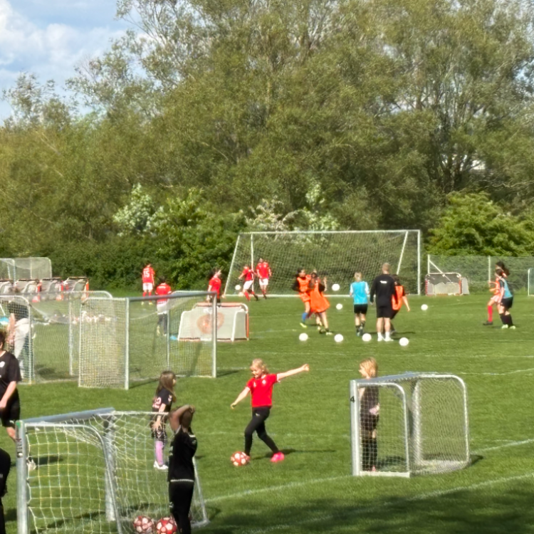 Fodbold årgang 2021 Piger tryout image