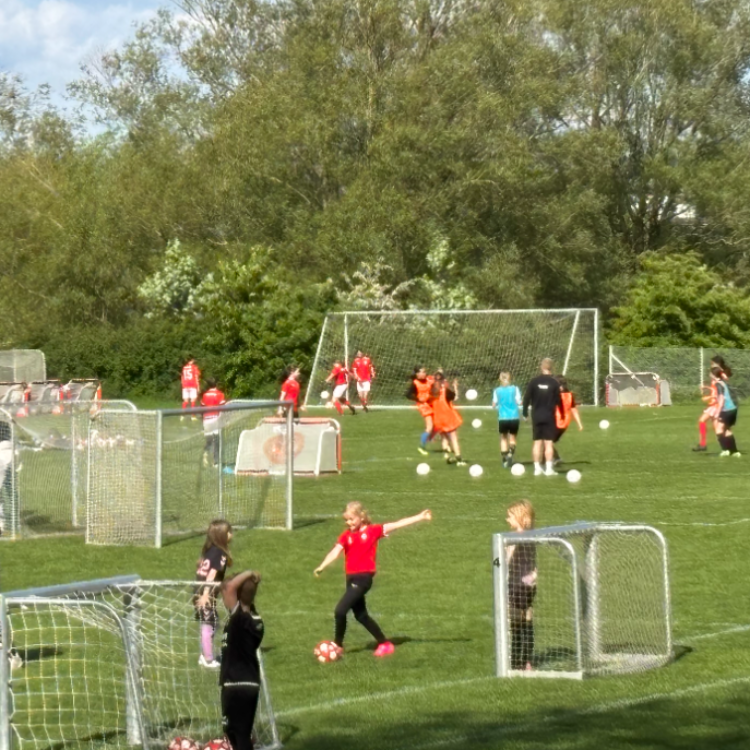 Fodbold årgang 2017 Piger tryout image
