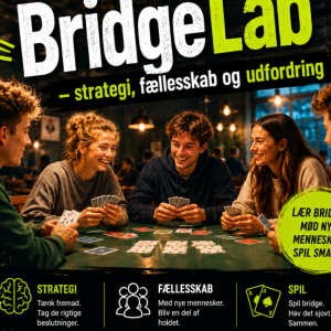Verdens bedste kortspil - Lær at spille Bridge