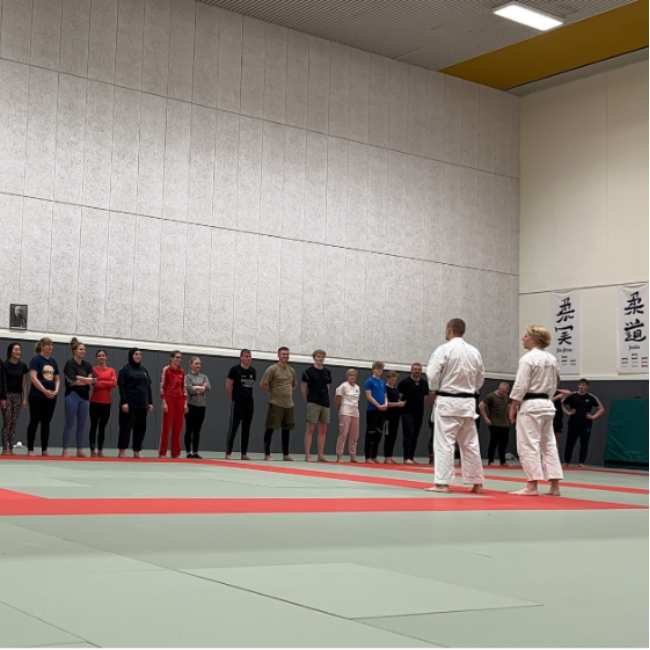 Jiu-Jitsu / Selvforsvar tryout image