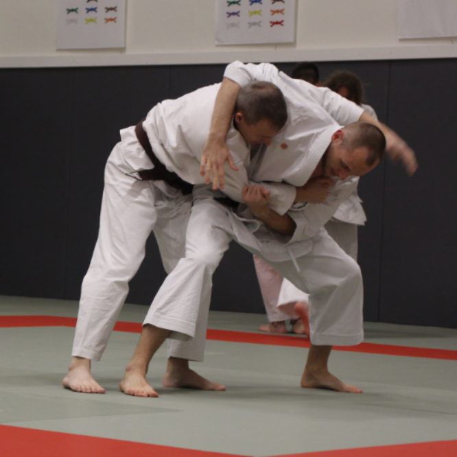 Jiu-Jitsu / Selvforsvar tryout image