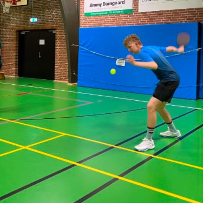 Pickleball tryout image
