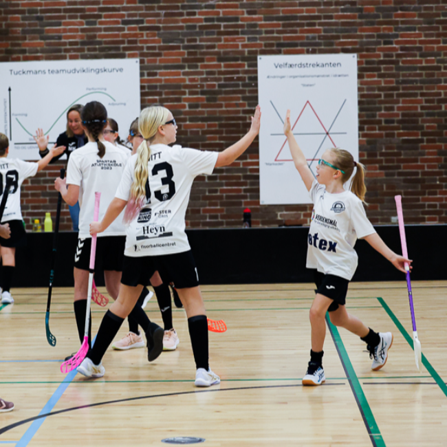 U11-floorball for piger tryout image