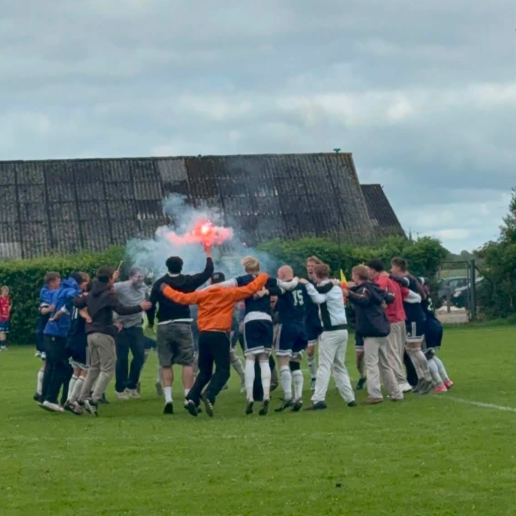 Udendørs fodboldtræning i ARK FFH tryout image