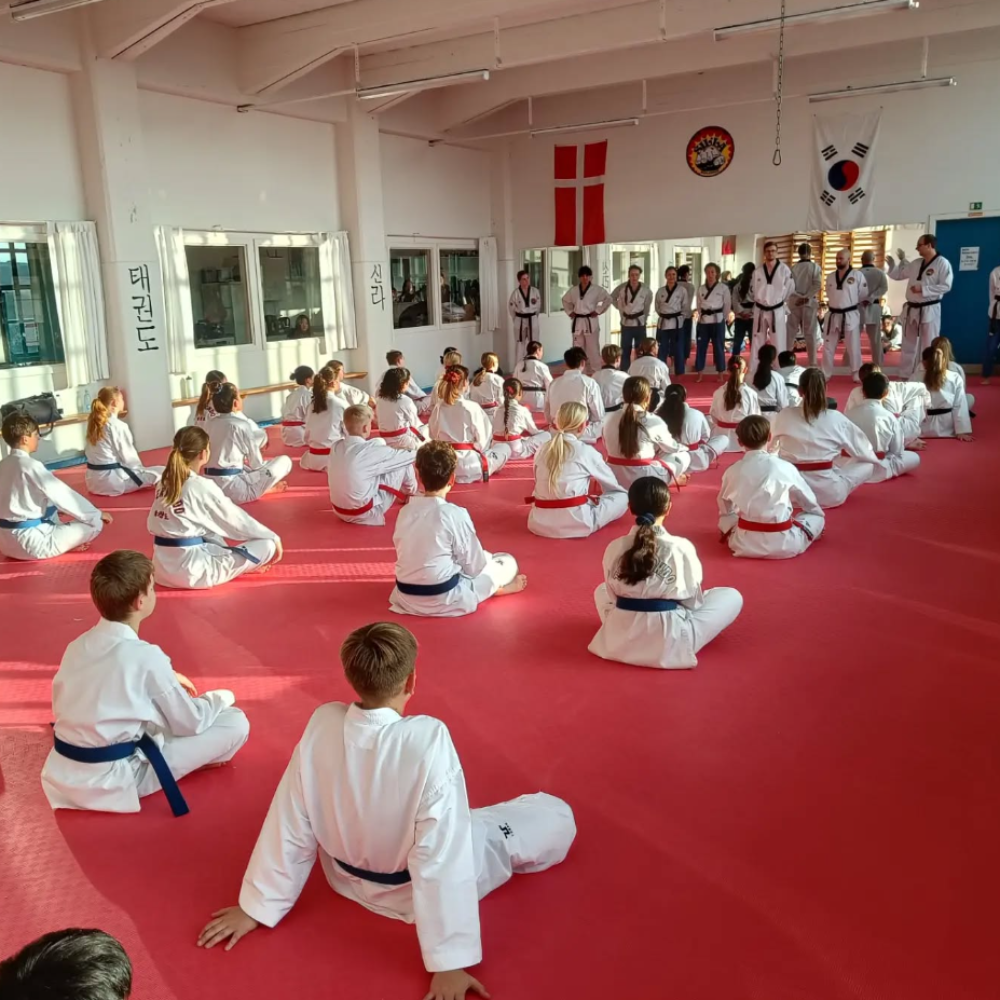 Taekwondo for unge og studerende (15-25 år) tryout image