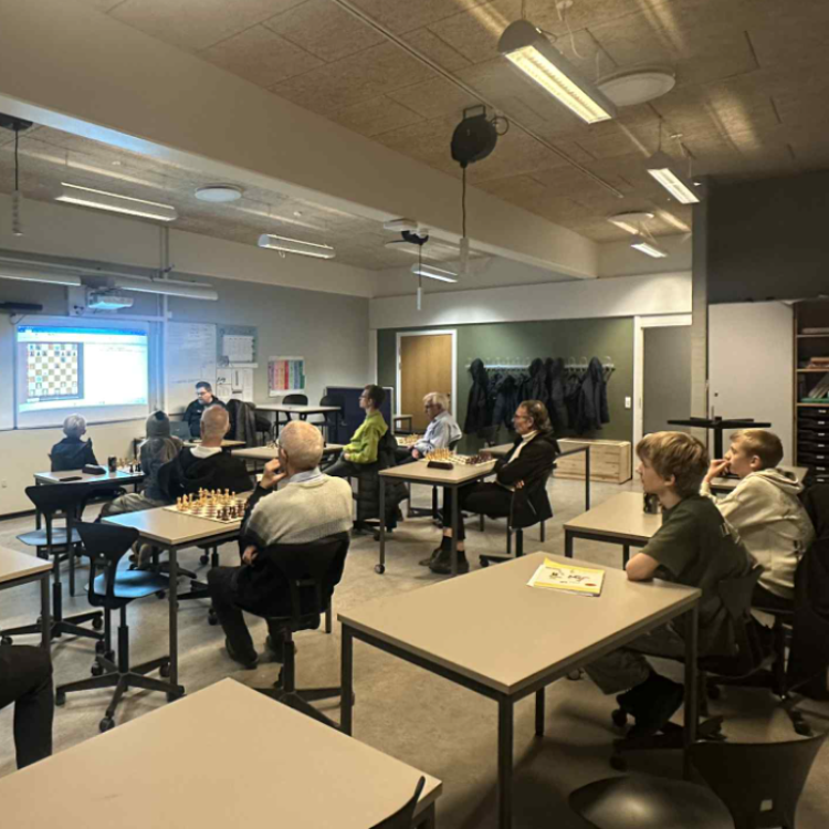 Skak for studerende – Vejle Try Out tryout image