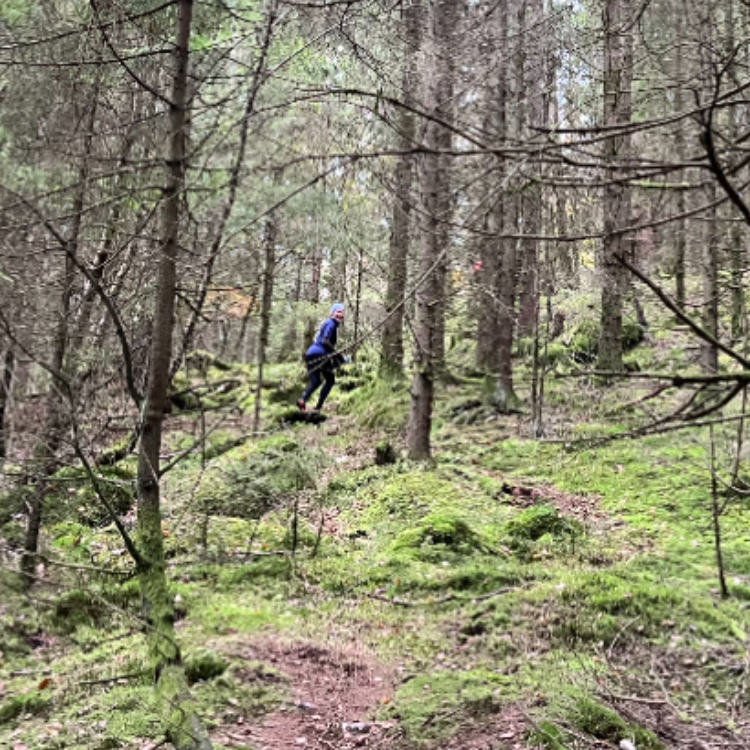 GÅ til orientering  tryout image