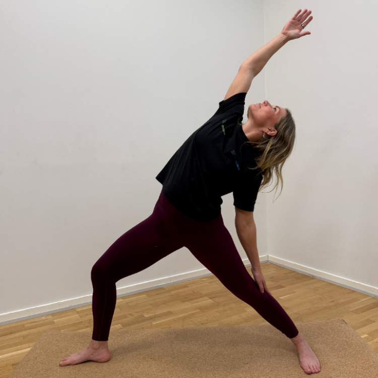 Yoga tryout image