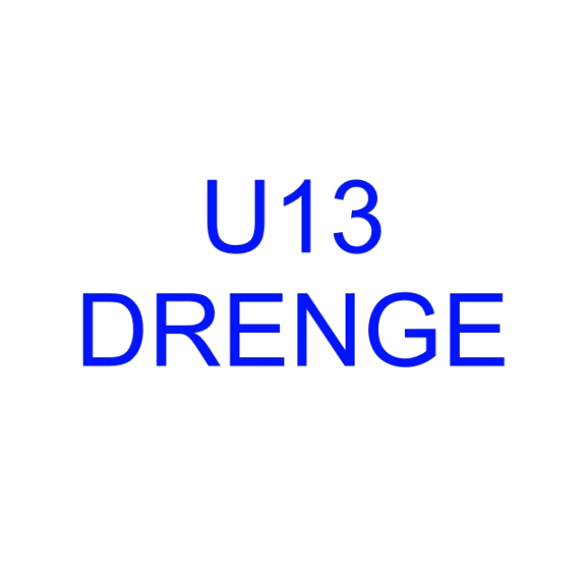 Håndbold U13 Drenge