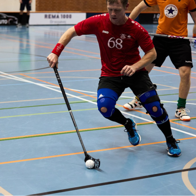Voksenfloorball Mix - Motion - Begynder - let-øvet tryout image