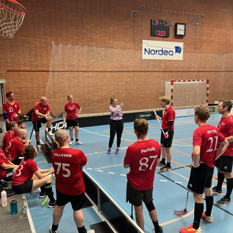 Voksenfloorball Mix - Motion - Begynder - let-øvet tryout image