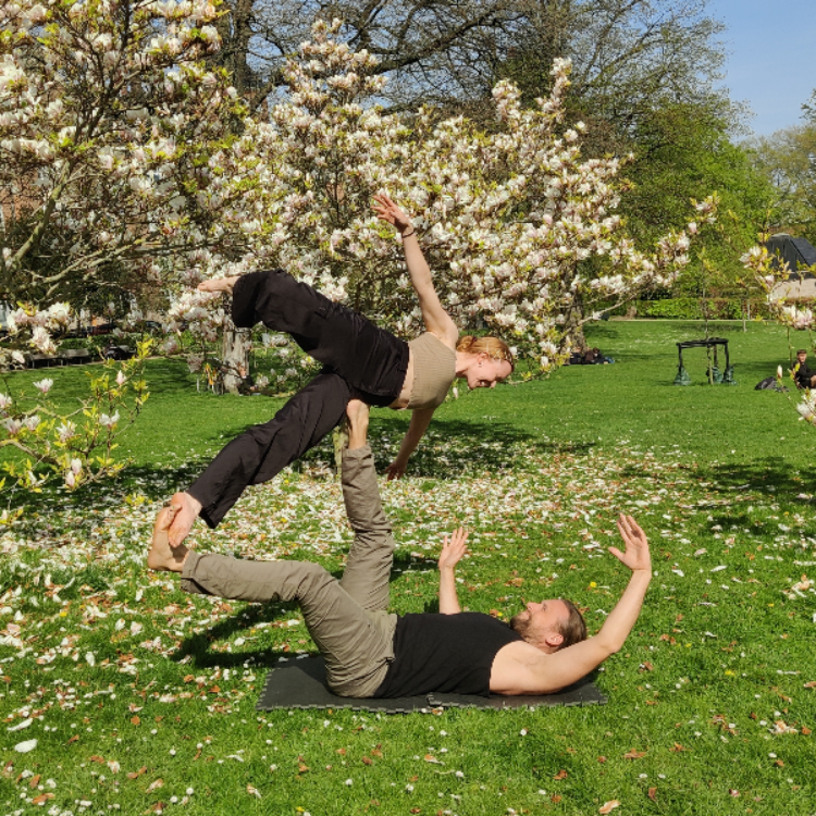 Akroyoga tryout image