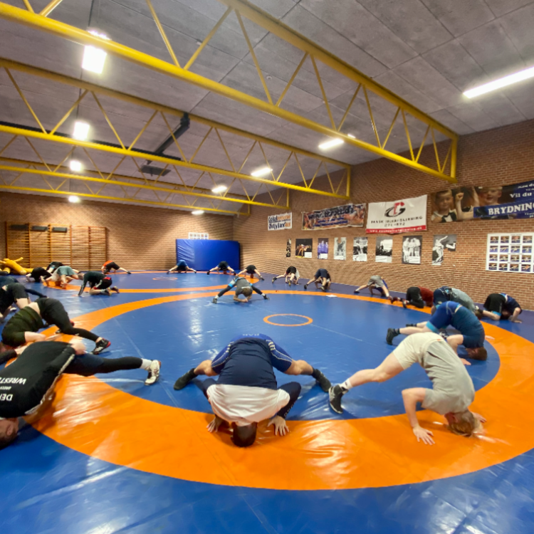 Motions brydning for voknse tryout image