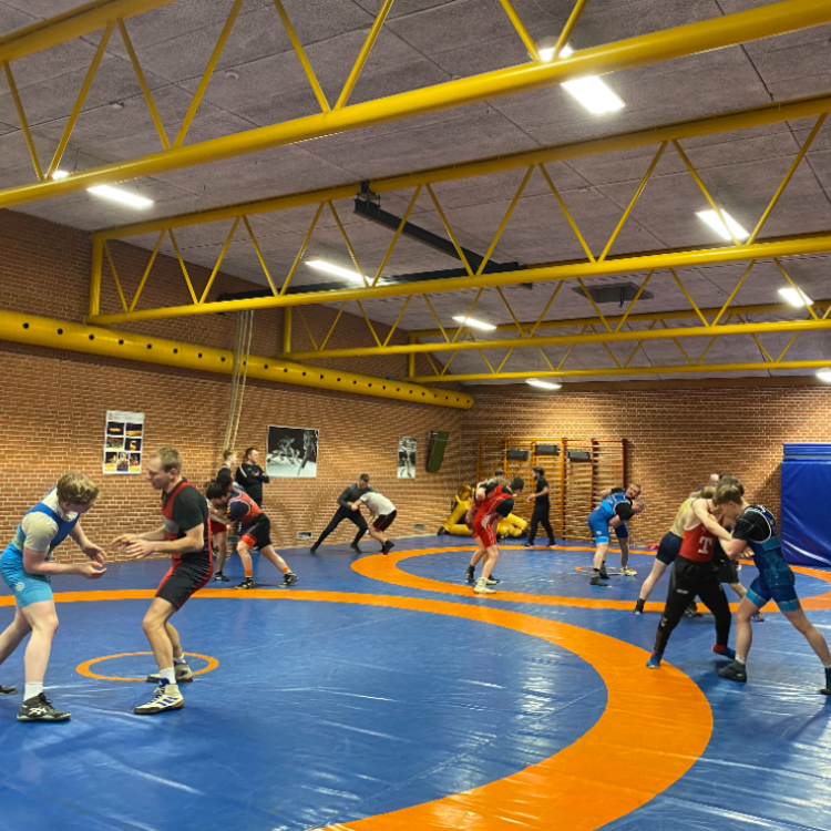 Motions brydning for voknse tryout image