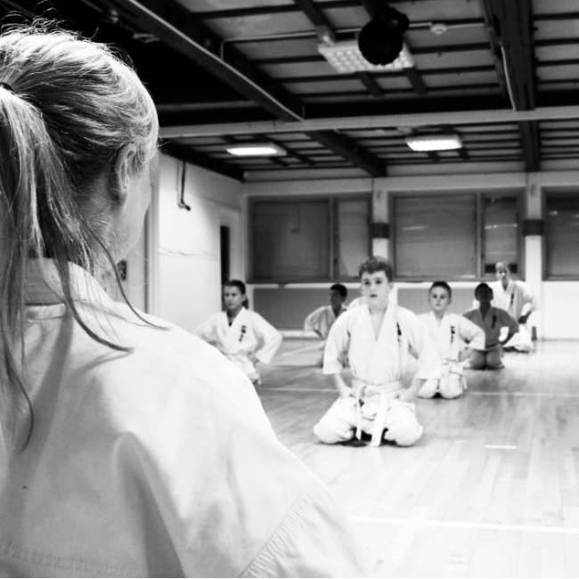 Karate for børn 10-13 år tryout image