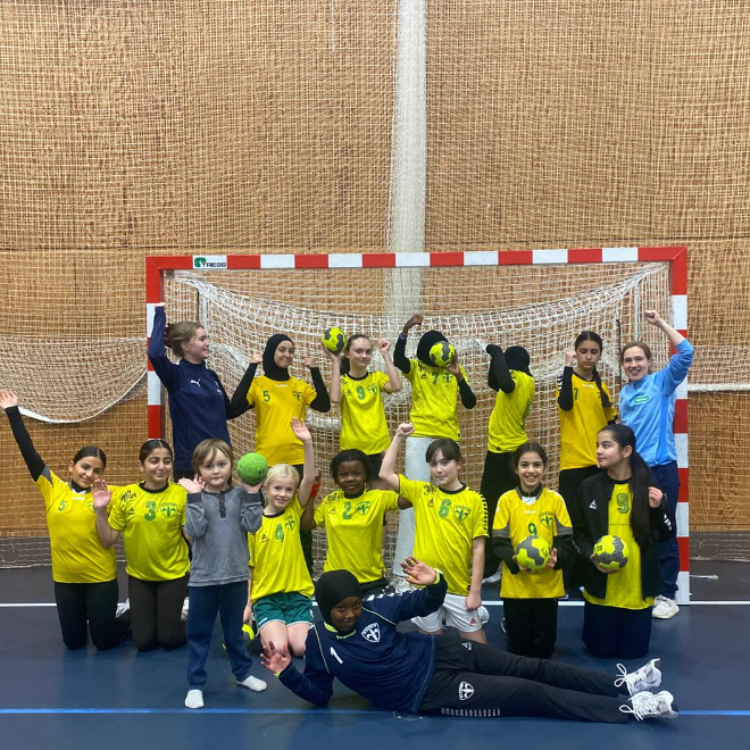 Håndbold for U15 piger  tryout image