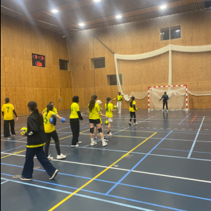 Håndbold for U15 piger 