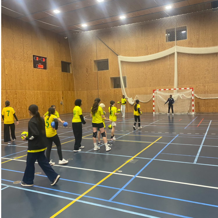 Håndbold for U15 piger  tryout image