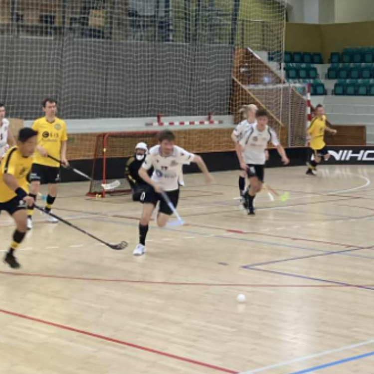 Floorball for alle/everyone! tryout image