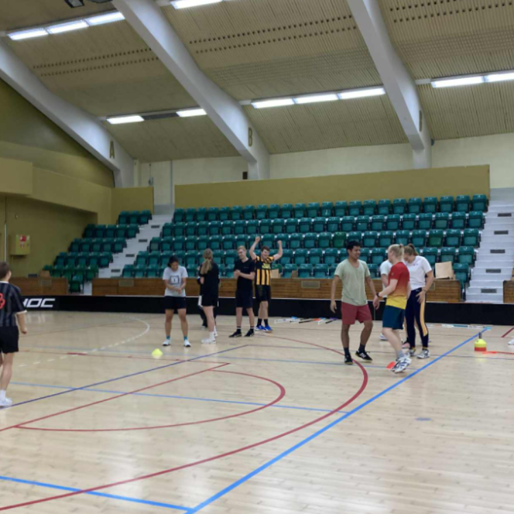 Floorball for alle/everyone! tryout image