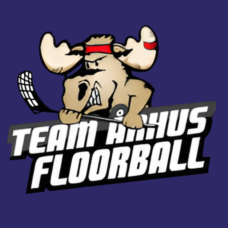 Floorball for alle/everyone! tryout image
