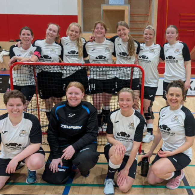 Floorball for alle/everyone! tryout image