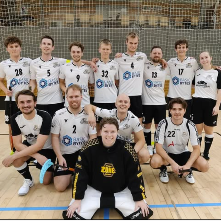 Floorball for alle/everyone! tryout image