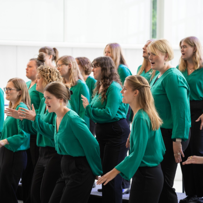 Kom til åben korprøve hos WondAros tryout image