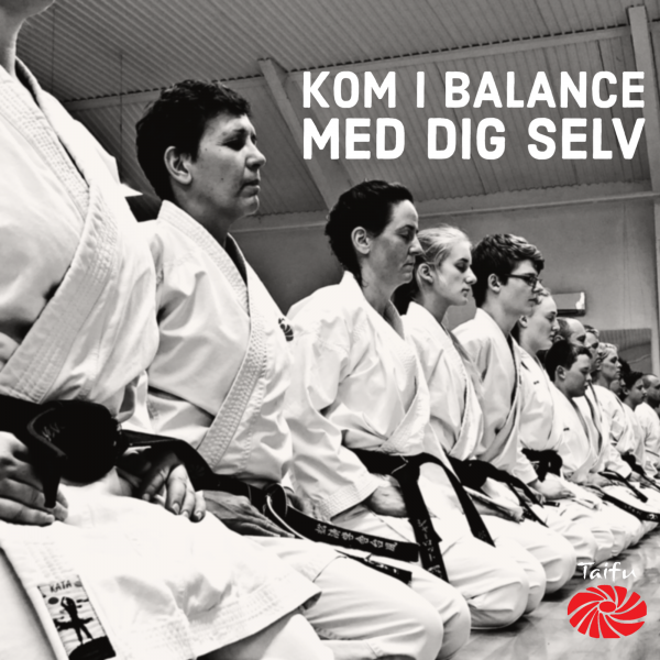 Karate voksne begyndere tryout image